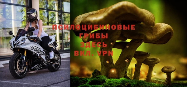 mdma Приозерск