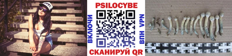 Псилоцибиновые грибы Cubensis  Чухлома 
